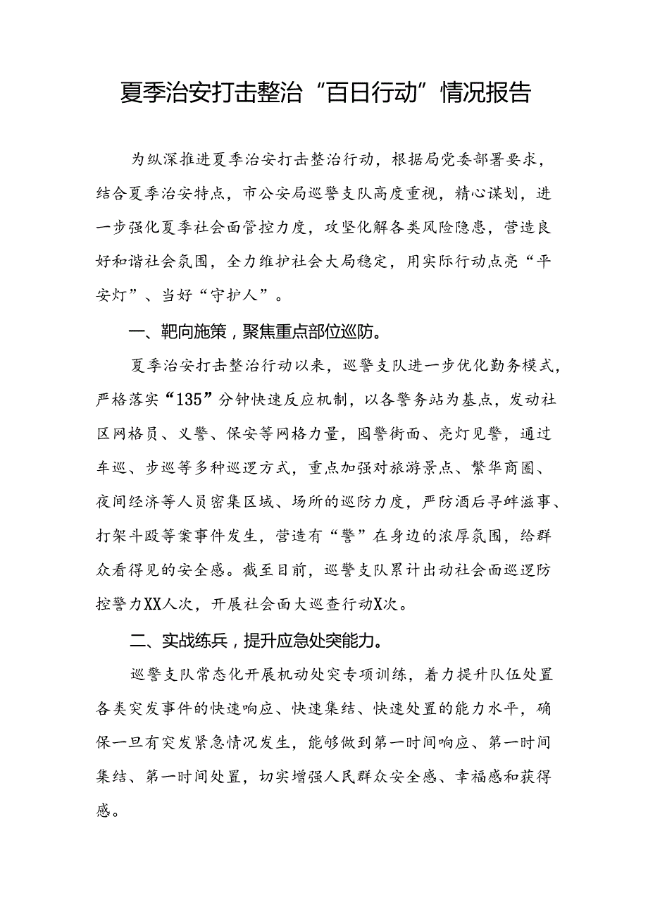 公安推进2024年夏季治安打击整治行动情况报告十八篇.docx_第3页