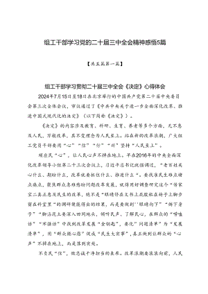 2024组工干部学习党的二十届三中全会精神（含《决定》）心得体会研讨发言感悟5篇.docx