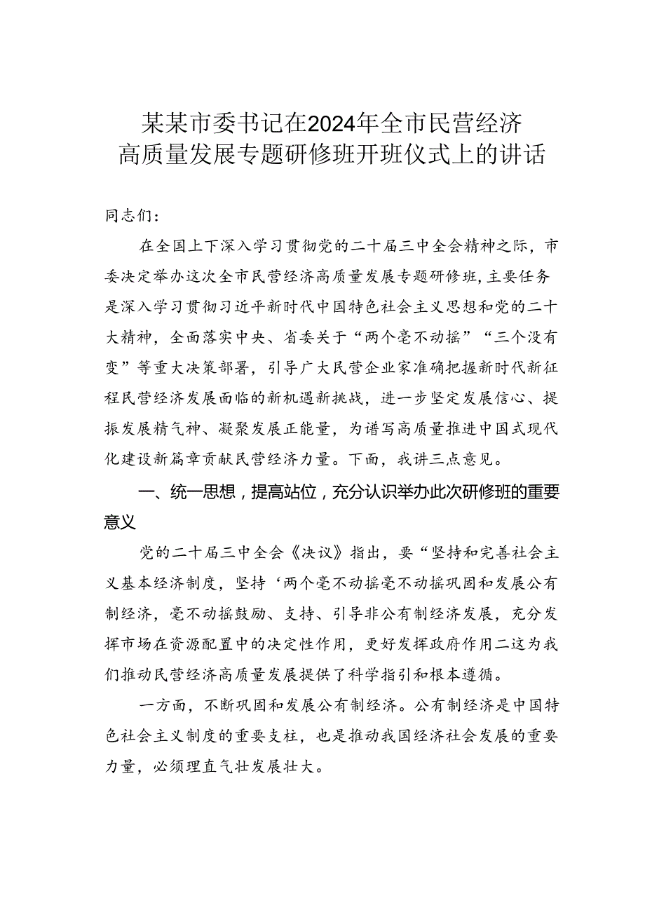 某某市委书记在2024年全市民营经济高质量发展专题研修班开班仪式上的讲话.docx_第1页