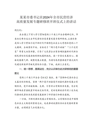 某某市委书记在2024年全市民营经济高质量发展专题研修班开班仪式上的讲话.docx