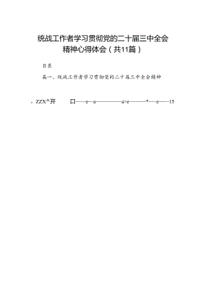 （11篇）统战工作者学习贯彻党的二十届三中全会精神心得体会范文.docx