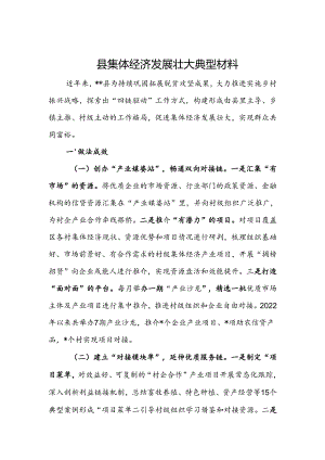 县集体经济发展壮大典型材料.docx