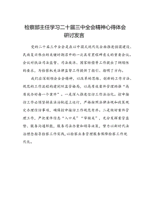 检察部主任学习二十届三中全会精神心得体会研讨发言.docx