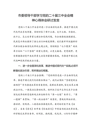 市委领导干部学习党的二十届三中全会精神心得体会研讨发言.docx