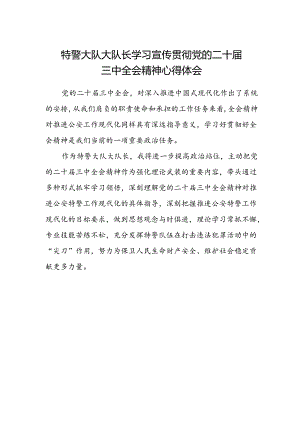 特警大队大队长学习宣传贯彻党的二十届三中全会精神心得体会.docx