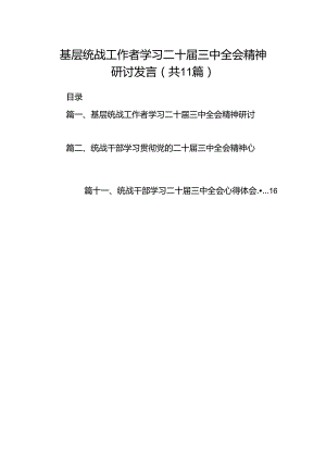 （11篇）基层统战工作者学习二十届三中全会精神研讨发言（精选）.docx