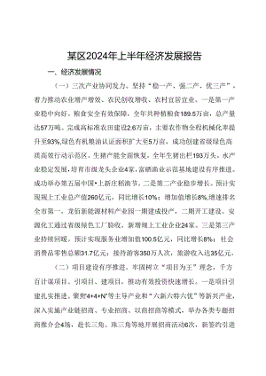 某区2024年上半年经济发展报告.docx