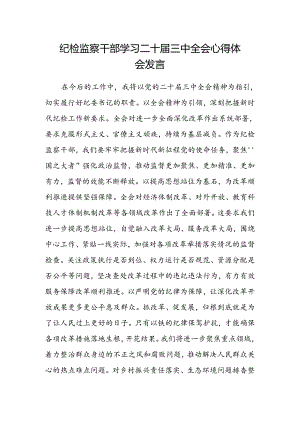 纪检监察干部学习二十届三中全会心得体会发言.docx