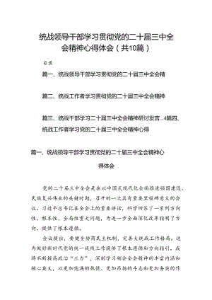 （10篇）统战领导干部学习贯彻党的二十届三中全会精神心得体会范文.docx