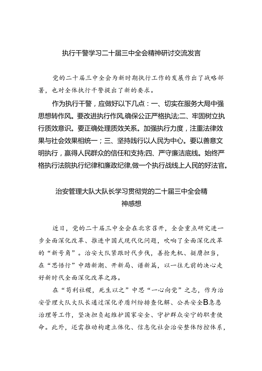 执行干警学习二十届三中全会精神研讨交流发言8篇（精选）.docx_第1页