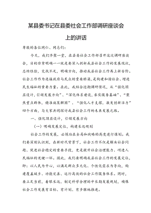 某县委书记在县委社会工作部调研座谈会上的讲话.docx