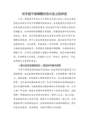 在中层干部调整任命大会上的讲话.docx