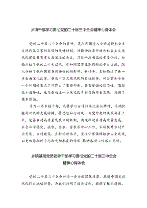 乡镇干部学习贯彻党的二十届三中全会精神心得体会5篇专题资料.docx