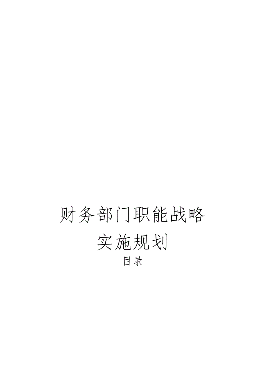 财务职能战略实施规划.docx_第1页