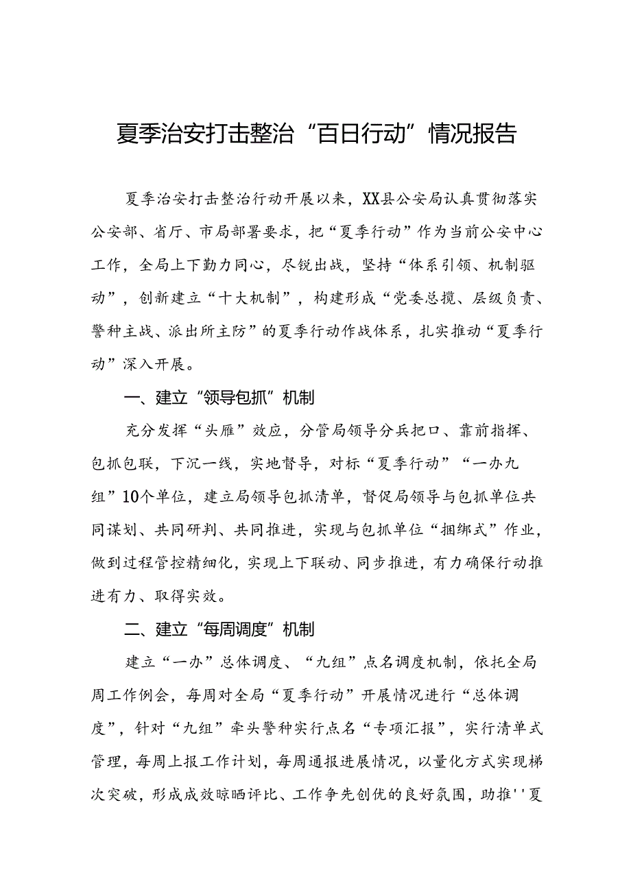 公安推进2024年夏季治安打击整治行动的情况报告19篇.docx_第1页