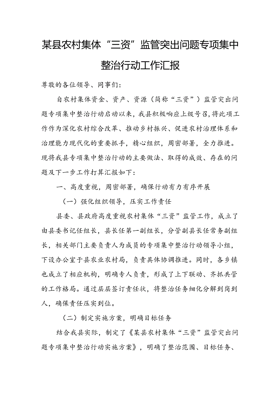 某县农村集体“三资”监管突出问题专项集中整治行动工作汇报.docx_第1页