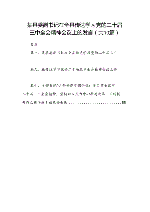 某县委副书记在全县传达学习党的二十届三中全会精神会议上的发言10篇（精选版）.docx