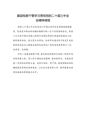 基层检察干警学习贯彻党的二十届三中全会精神感悟范文.docx