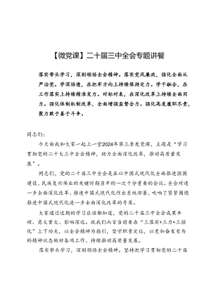 【微党课】二十届三中全会专题讲稿6篇.docx