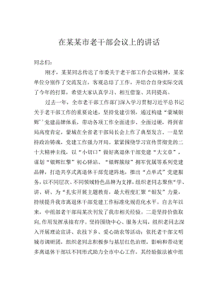 在某某市老干部会议上的讲话.docx