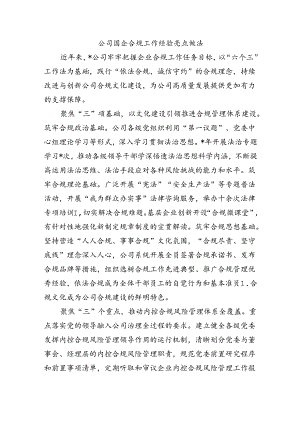 公司国企合规工作经验亮点做法.docx