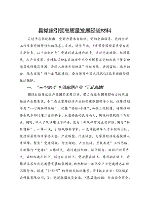 县党建引领高质量发展经验材料.docx