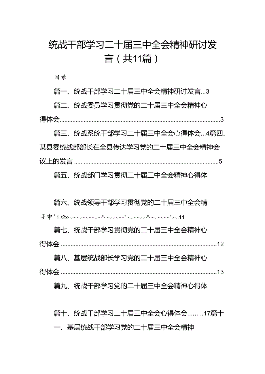 （11篇）统战干部学习二十届三中全会精神研讨发言范文.docx_第1页