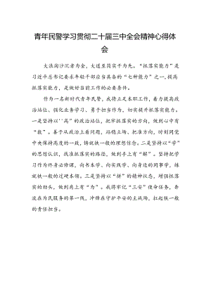 青年民警学习贯彻二十届三中全会精神心得体会范文.docx