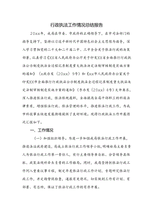 行政执法工作情况总结报告.docx