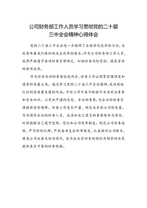 公司财务部工作人员学习贯彻党的二十届三中全会精神心得体会.docx