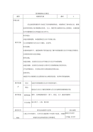 （2024秋）科教版科学一年级上册《植物长在哪里》教案.docx