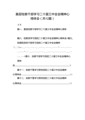 基层检察干部学习二十届三中全会精神心得体会12篇（最新版）.docx