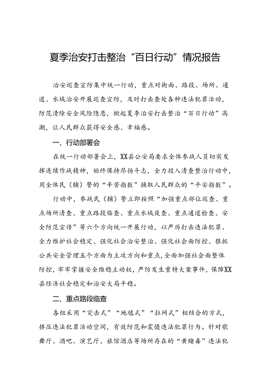 公安2024夏季治安打击整治“百日行动”总结报告26篇.docx_第1页