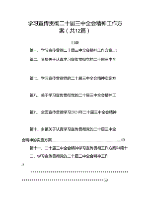 （12篇）学习宣传贯彻二十届三中全会精神工作方案专题资料.docx