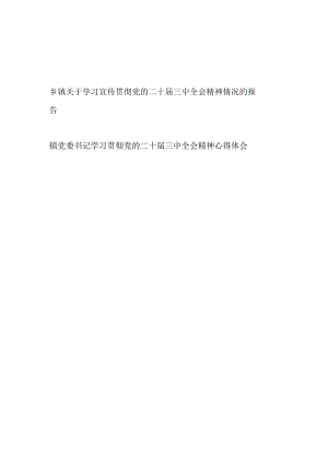 乡镇关于学习宣传贯彻党的二十届三中全会精神情况的报告和镇党委书记学习贯彻党的二十届三中全会精神心得体会.docx