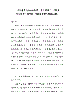 二十届三中全会“七个聚焦”专题集中宣讲党课讲稿.docx