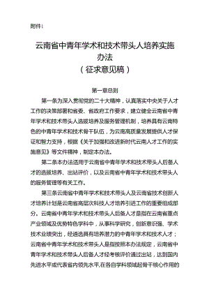 云南省中青年学术和技术带头人培养实施办法（征.docx