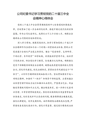 公司纪委书记学习贯彻党的二十届三中全会精神心得体会.docx