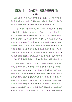 经验总结：“四轮驱动”建强乡村振兴“生力军”.docx