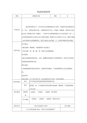 （2024秋）科教版科学一年级上册《观察植物》教案.docx