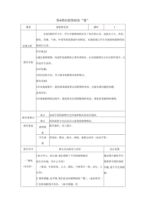 （2024秋）科教版科学一年级上册《给植物画张“像”》教案.docx