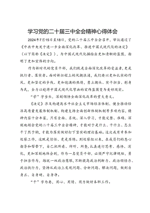 学习党的二十届三中全会精神心得体会(4).docx