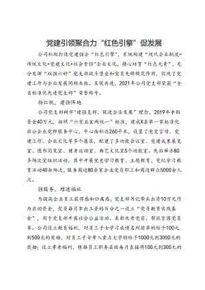 公司党支部交流发言：党建引领聚合力 “红色引擎”促发展.docx