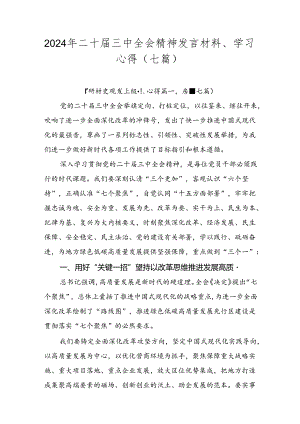 2024年二十届三中全会精神发言材料、学习心得（七篇）.docx