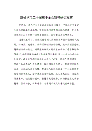 庭长学习二十届三中全会精神研讨发言.docx