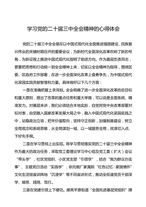 2024年关于党的二十届三中全会精神心得体会学习感悟13篇.docx