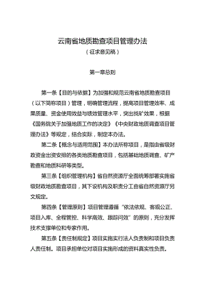 《云南省地质勘查项目管理办法（征.docx