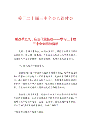 关于二十届三中全会心得体会 .docx