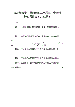 （10篇）统战部长学习贯彻党的二十届三中全会精神心得体会范文.docx