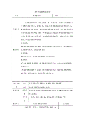 （2024秋）科教版科学一年级上册《校园里的植物》教案.docx